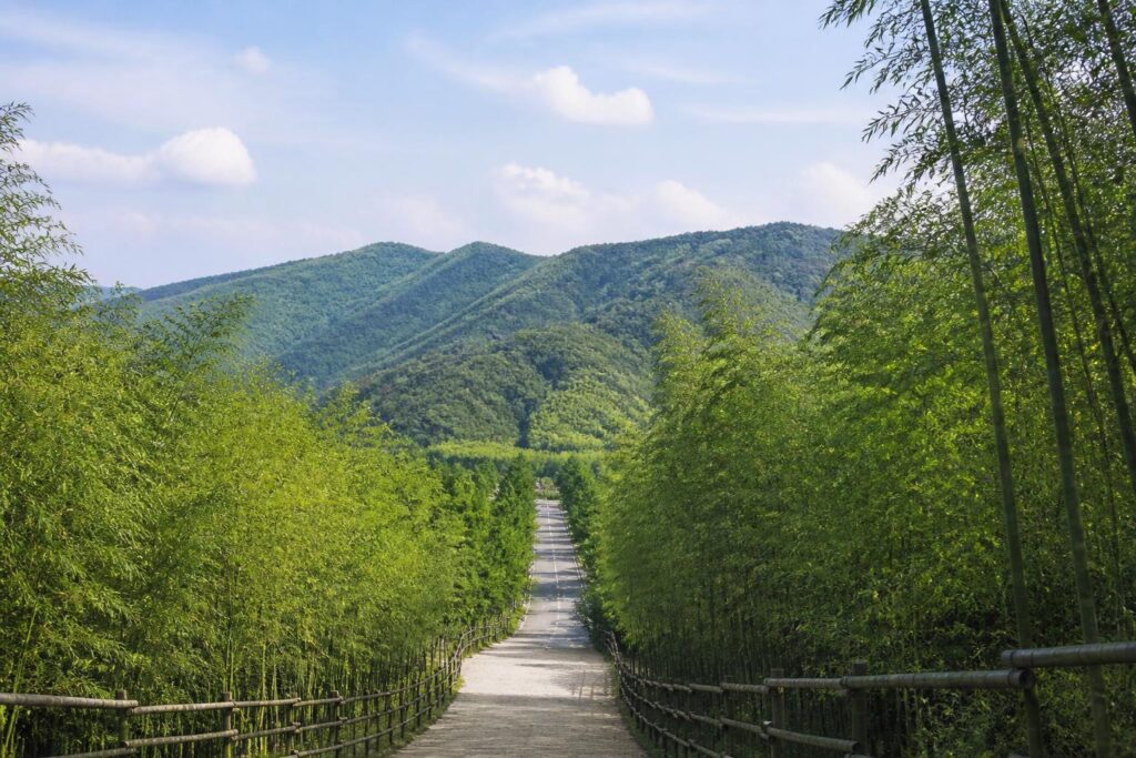 潭陽の旅行風景