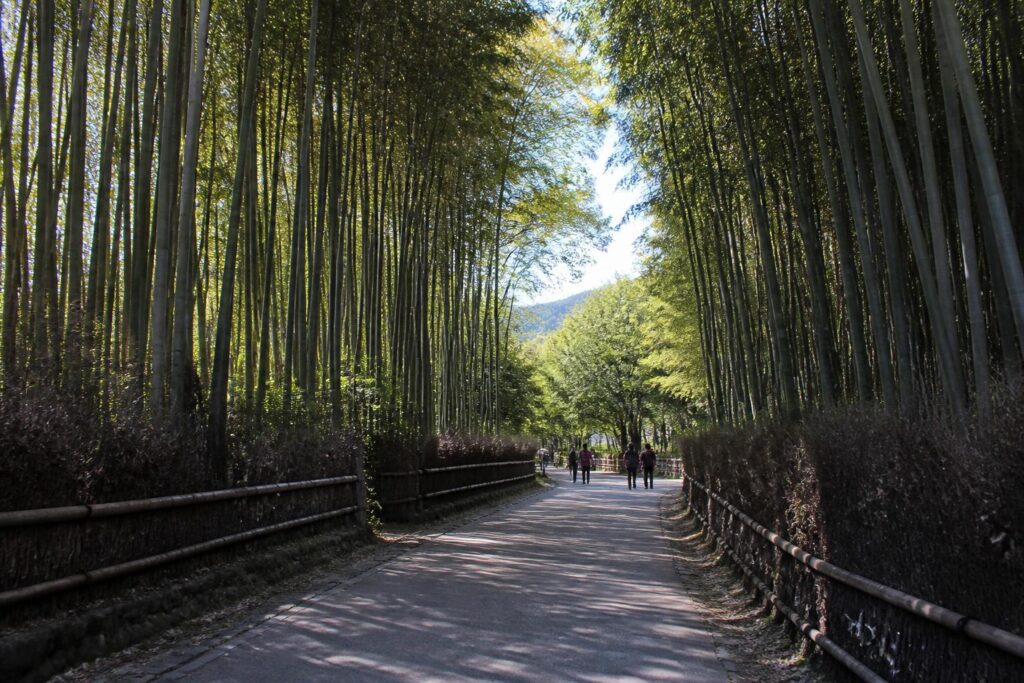 潭陽の旅行風景